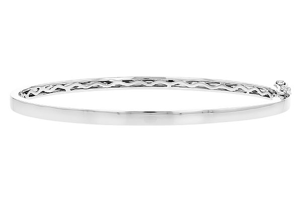 G328-17651: BANGLE (C244-50406 W/ CHANNEL FILLED IN & NO DIA)
